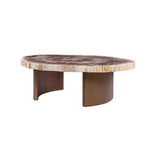 Yoel Natuurlijke Versteend Hout Koffietafel met Messing Onderstel 42x100x120 cm