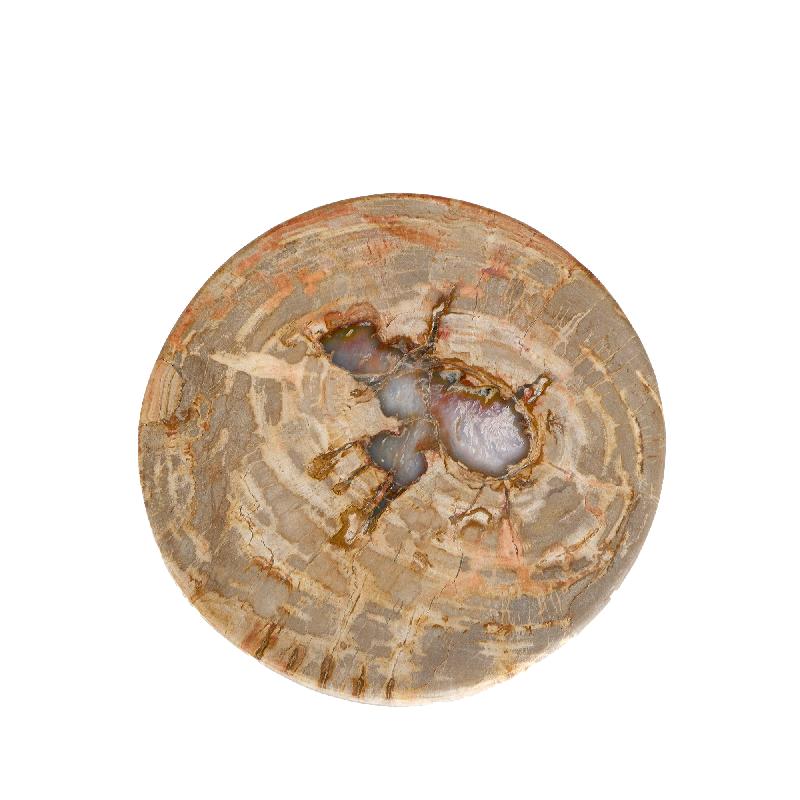 Bethe Natuurlijke Versteende Hout Halve Bol Display L 9x35x35 cm