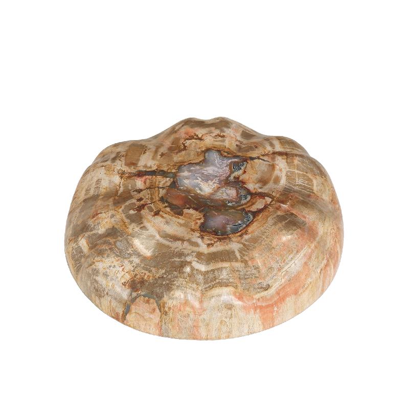 Bethe Natuurlijke Versteende Hout Halve Bol Display L 9x35x35 cm