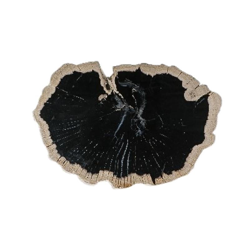 Dalva Zwart Versteend Hout Deco Schijf Bord Rond 2x30x35 cm