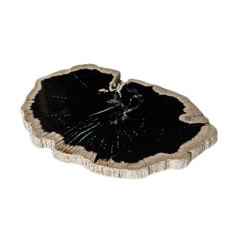 Dalva Zwart Versteend Hout Deco Schijf Bord Rond 2x30x35 cm
