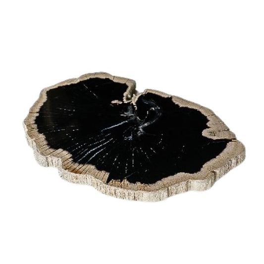 Dalva Zwart Versteend Hout Deco Schijf Bord Rond 2x30x35 cm