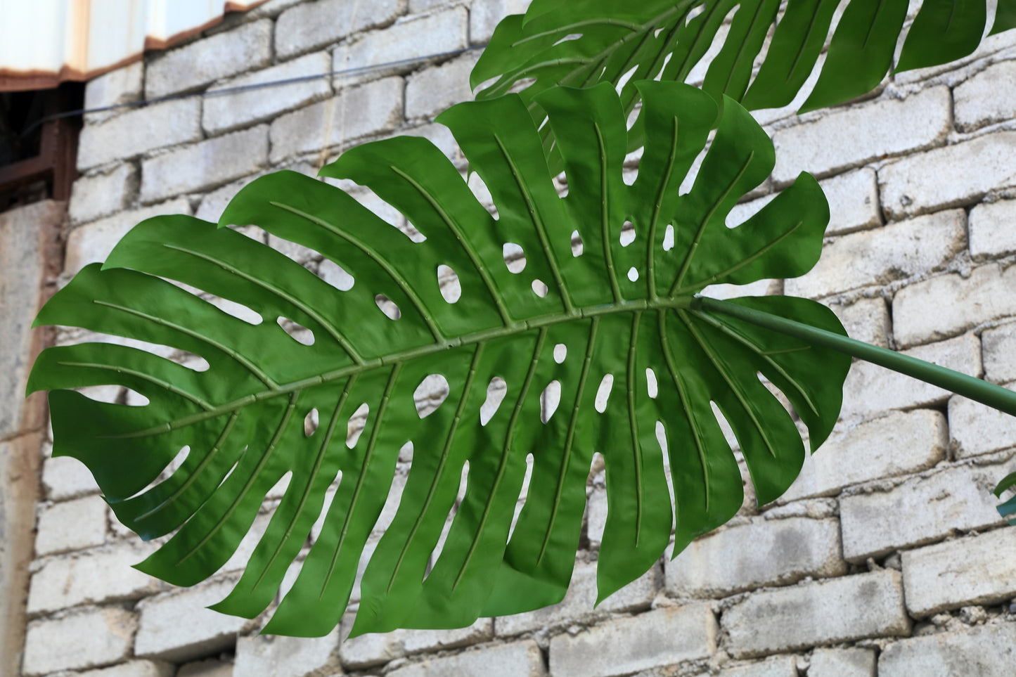 Tree Groen Monstera Blad Plant Hoog L 420x165x165 cm