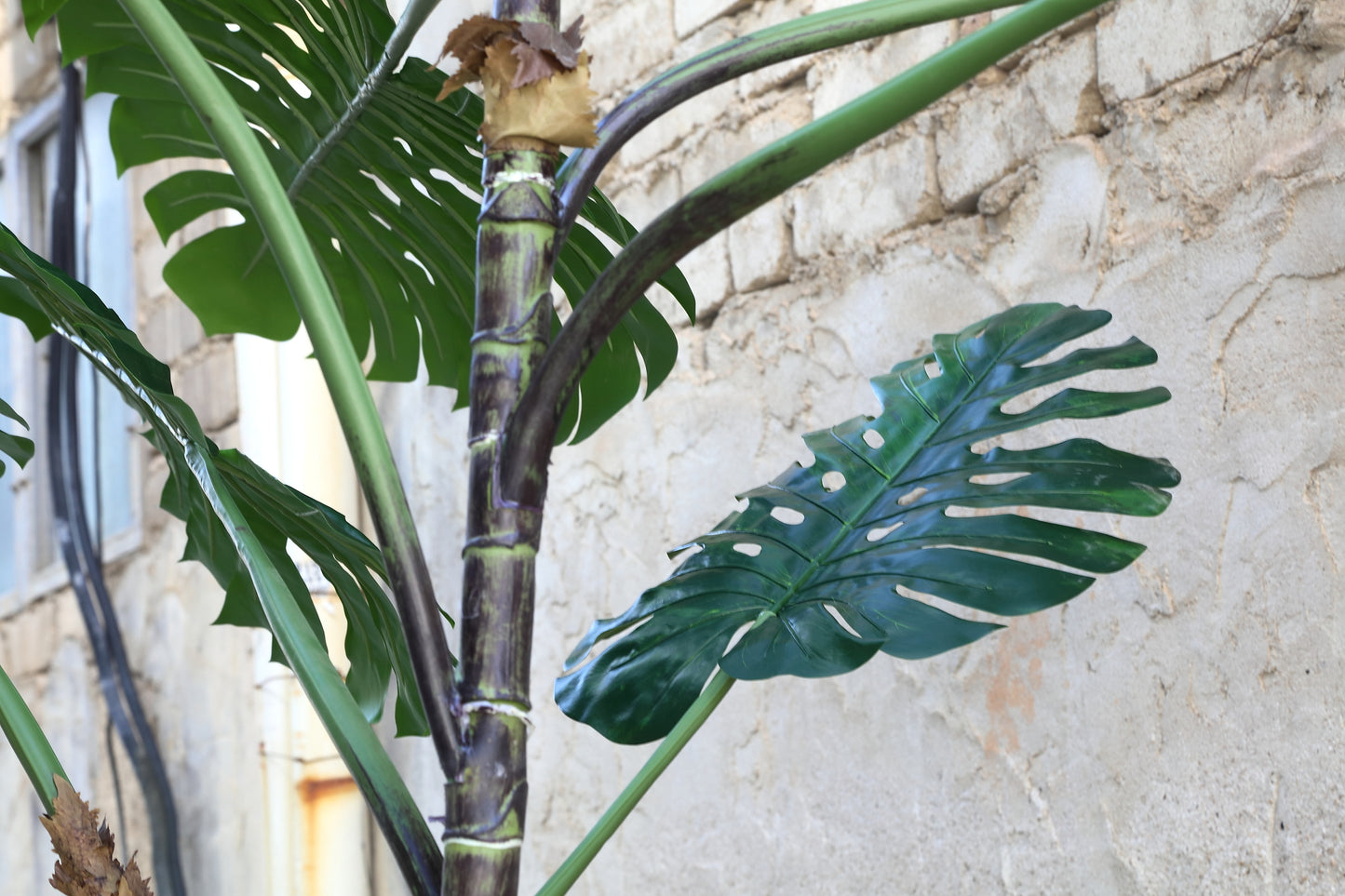 Tree Green Monstera Leaf Plant High S 310x122x122 cm