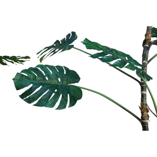 Tree Green Monstera Leaf Plant High S 310x122x122 cm