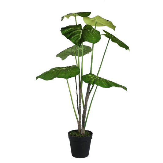 Leaves Plant Groene Philodendron In Zwarte Pot 178x90x90 cm