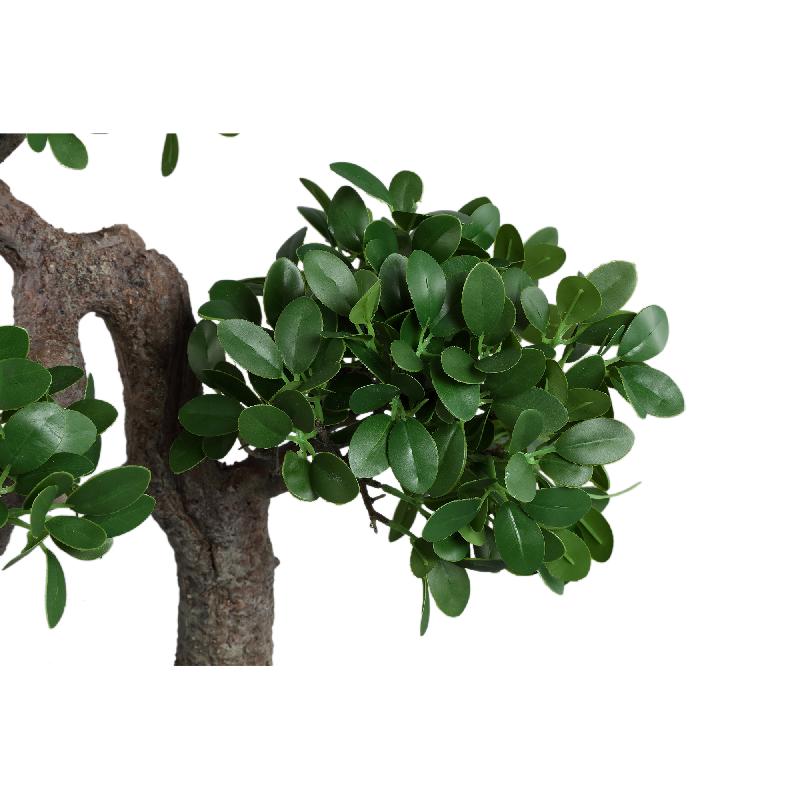 Tree Groene Banyan Tree In Zwarte Pot 80x50x35 cm