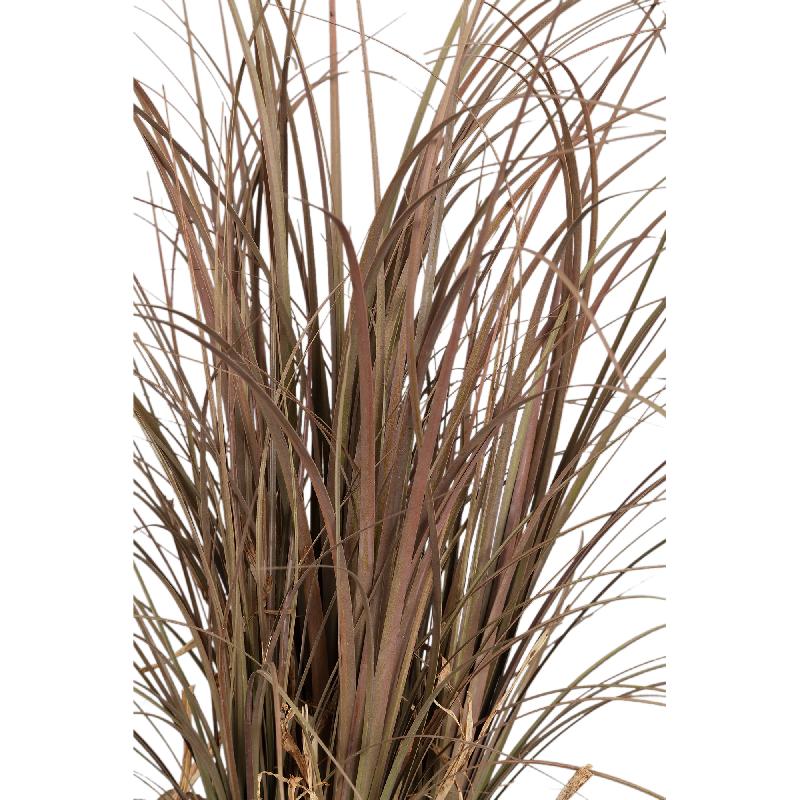 Leaves Plant Beige Paardenstaartpalm in Glazen Vaas - Set van 2 56x30x30 cm