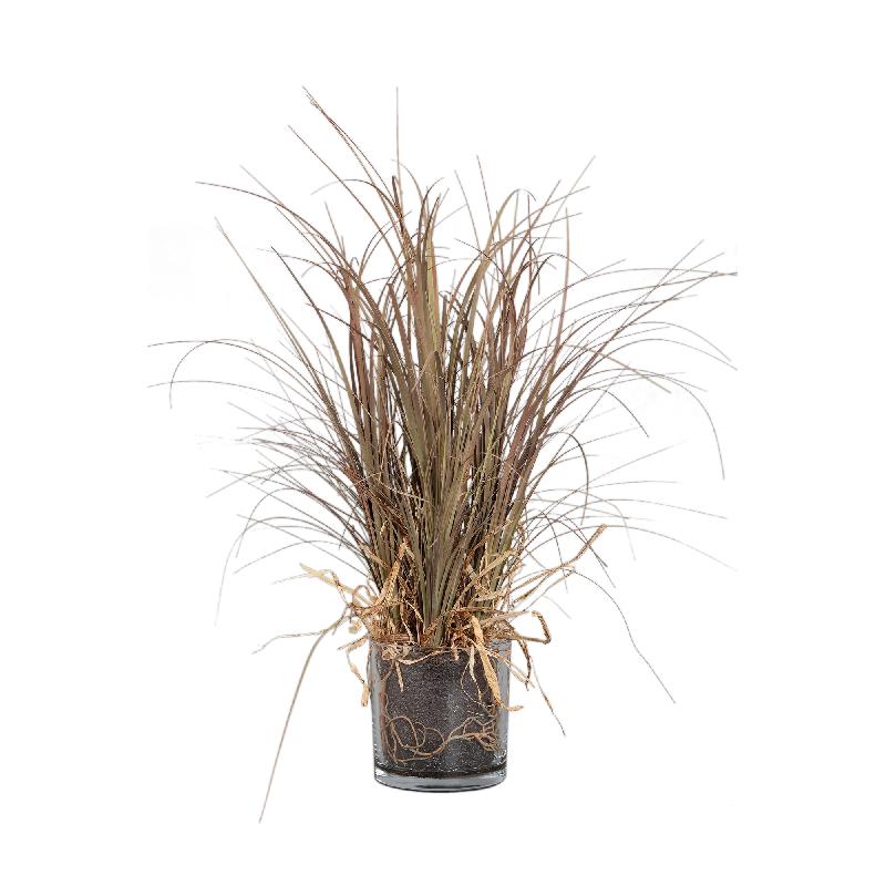 Leaves Plant Beige Paardenstaartpalm in Glazen Vaas - Set van 2 56x30x30 cm