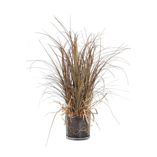 Leaves Plant Beige Paardenstaartpalm in Glazen Vaas - Set van 2 56x30x30 cm