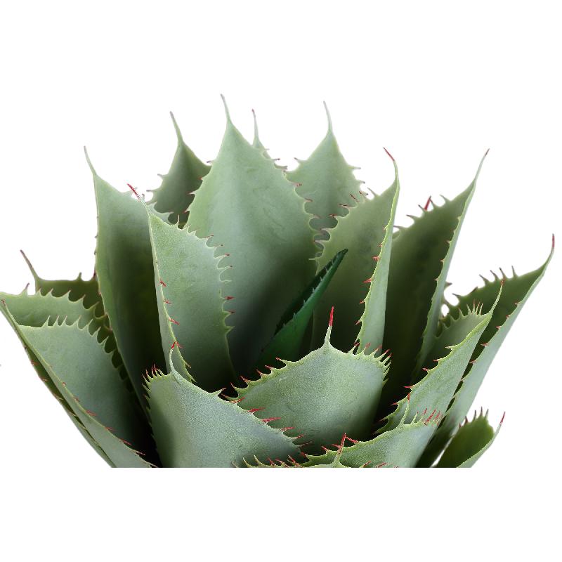Succulent Plant Groene Grote Agave In Pot - Set van 2 Stuks 45x35x35 cm