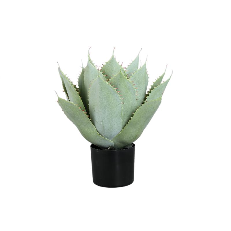 Succulent Plant Groene Grote Agave In Pot - Set van 2 Stuks 45x35x35 cm