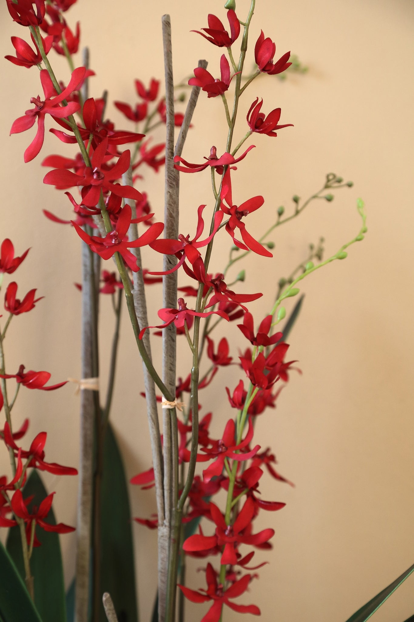 Orchid Flower Roze Renanthera Orchidee In Glazen Vaas 114x35x35 cm