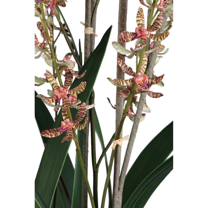 Orchid Flower Groene Renanthera Orchidee Keramische Pot 115x30x30 cm