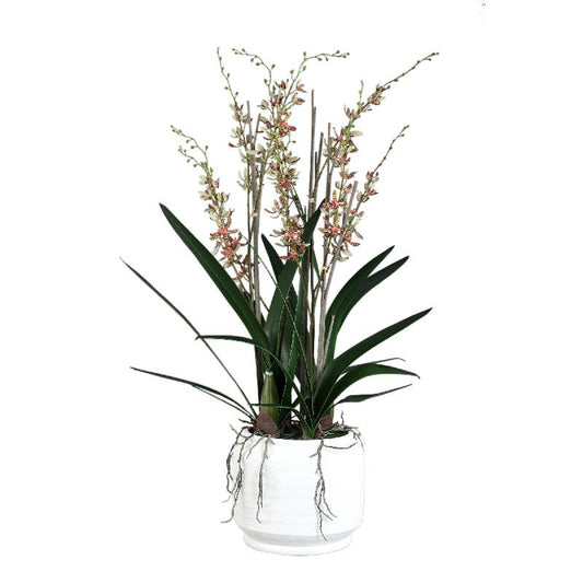 Orchid Flower Groene Renanthera Orchidee Keramische Pot 115x30x30 cm