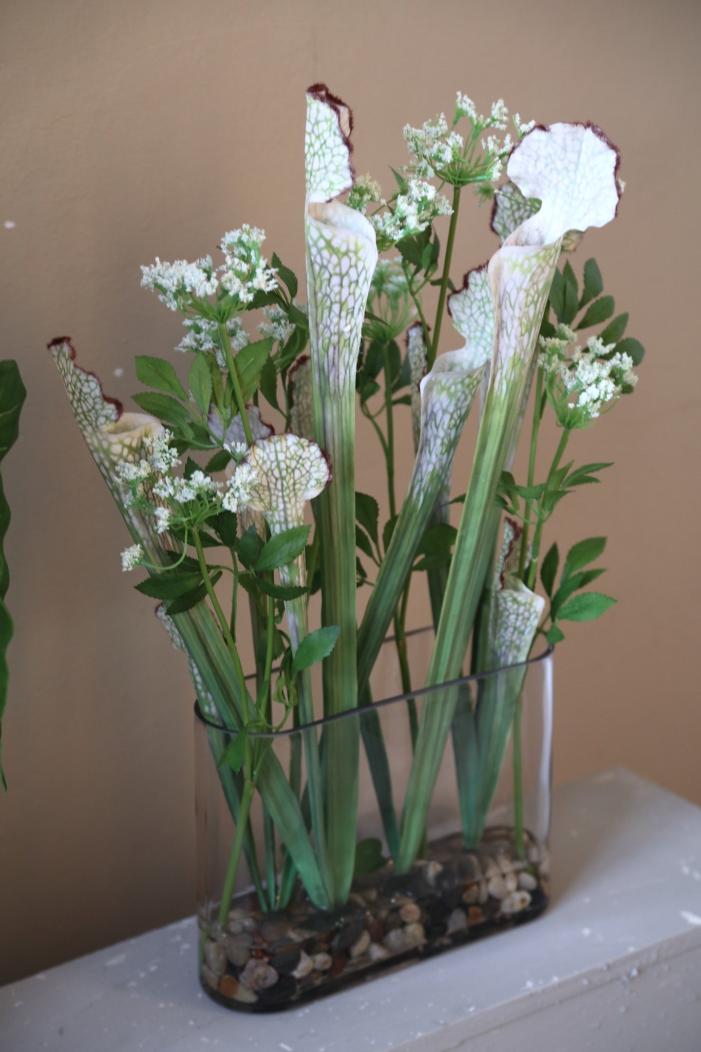 Leaves Plant Groene Planten in Glazen Vaas - Set van 2 55x25x10 cm