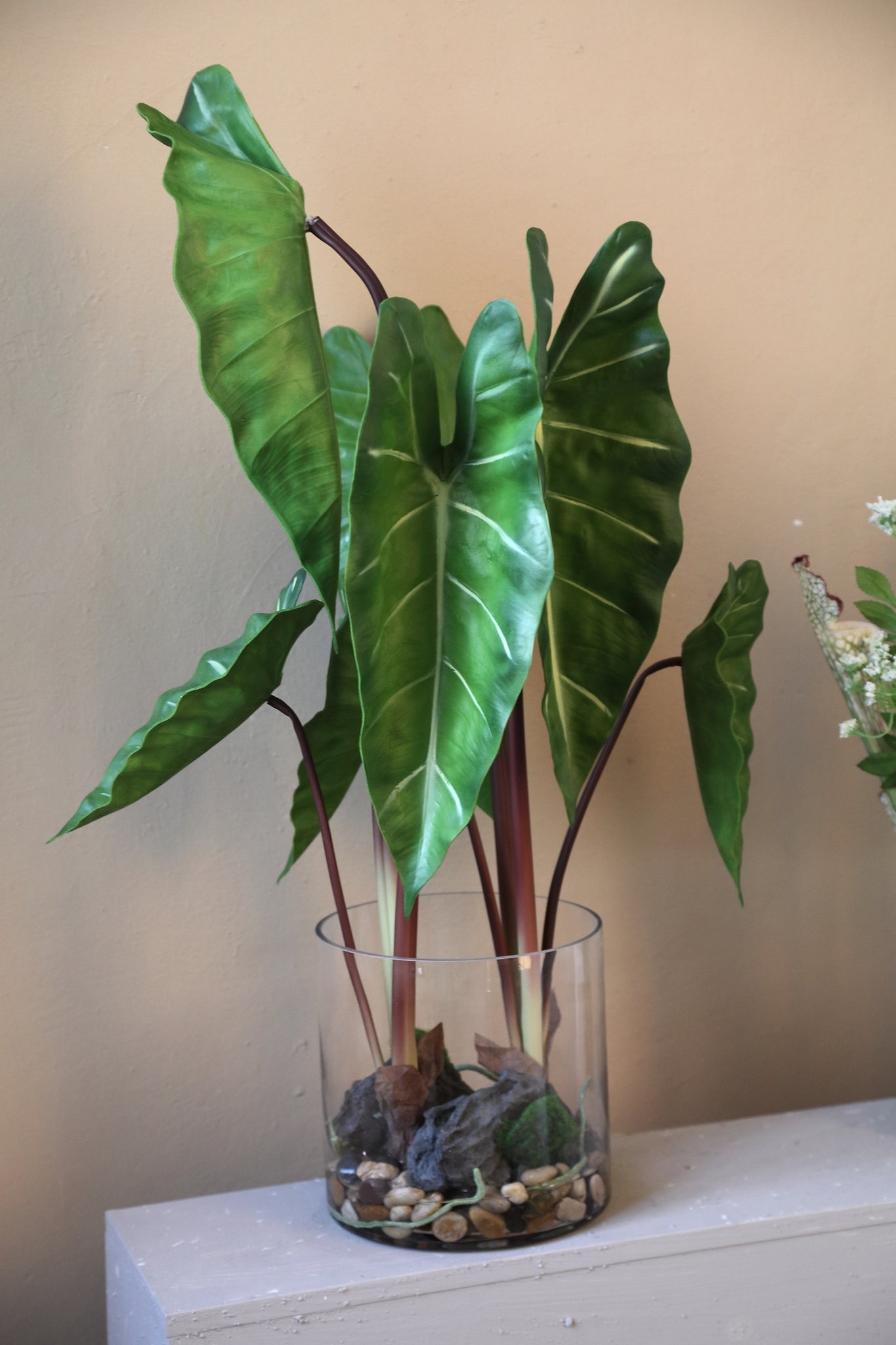 Leaves Plant Groene Philodendron In Glazen Vaas 80x40x50 cm