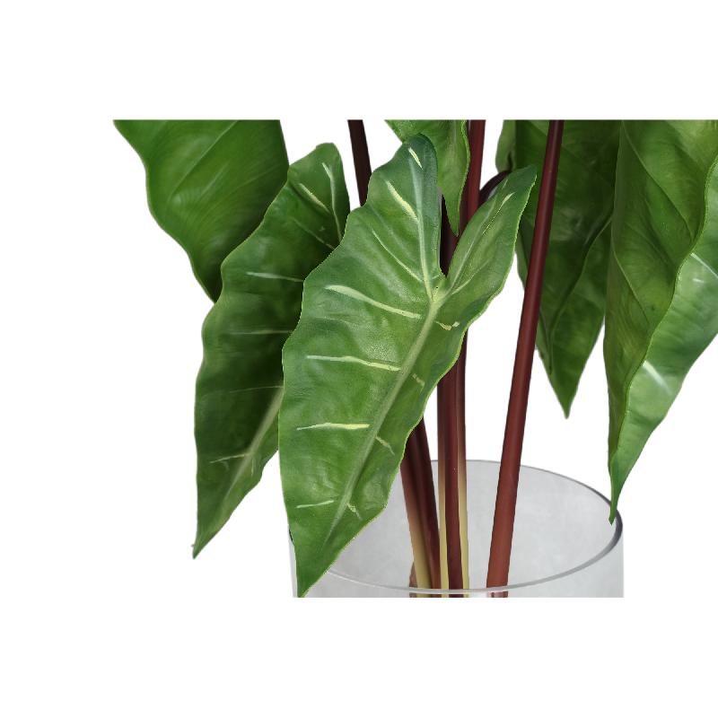 Leaves Plant Groene Philodendron In Glazen Vaas 80x40x50 cm