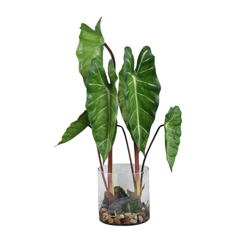 Leaves Plant Groene Philodendron In Glazen Vaas 80x40x50 cm