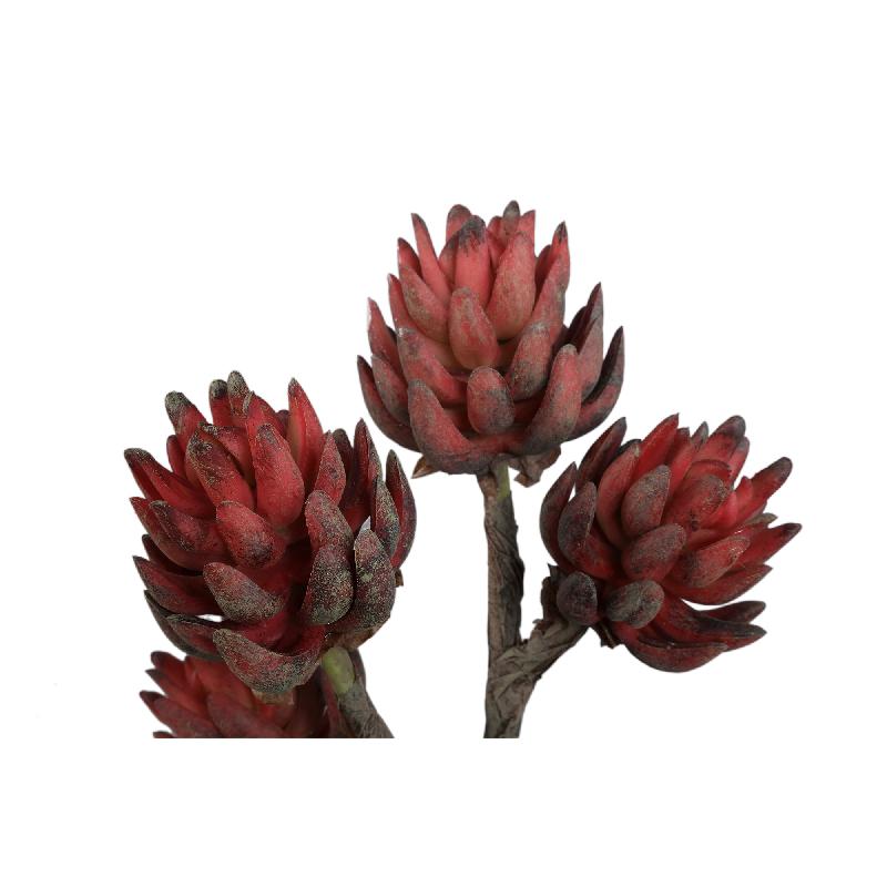 Succulent Plant Rode Echeveria Gebroken Wit Keramische Pot – Set van 4 Stuks 38x20x15 cm