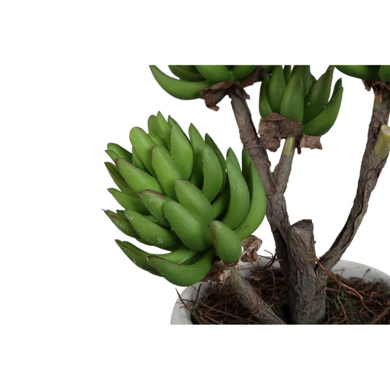 Succulent Plant Groene Echeveria In Crèmewitte Pot Set Van 6 Stuks 35x15x15 cm