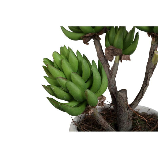 Succulent Plant Groene Echeveria In Crèmewitte Pot Set Van 6 Stuks 35x15x15 cm