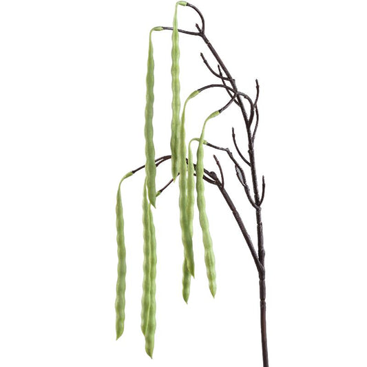Twig Plant Groen Hangende Acacia Boon Spray - Set van 12 17x60x17 cm