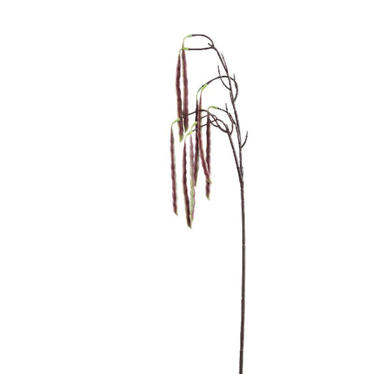Twig Plant Rood Hangende Acacia Boon Spray - Set van 12 17x60x17 cm