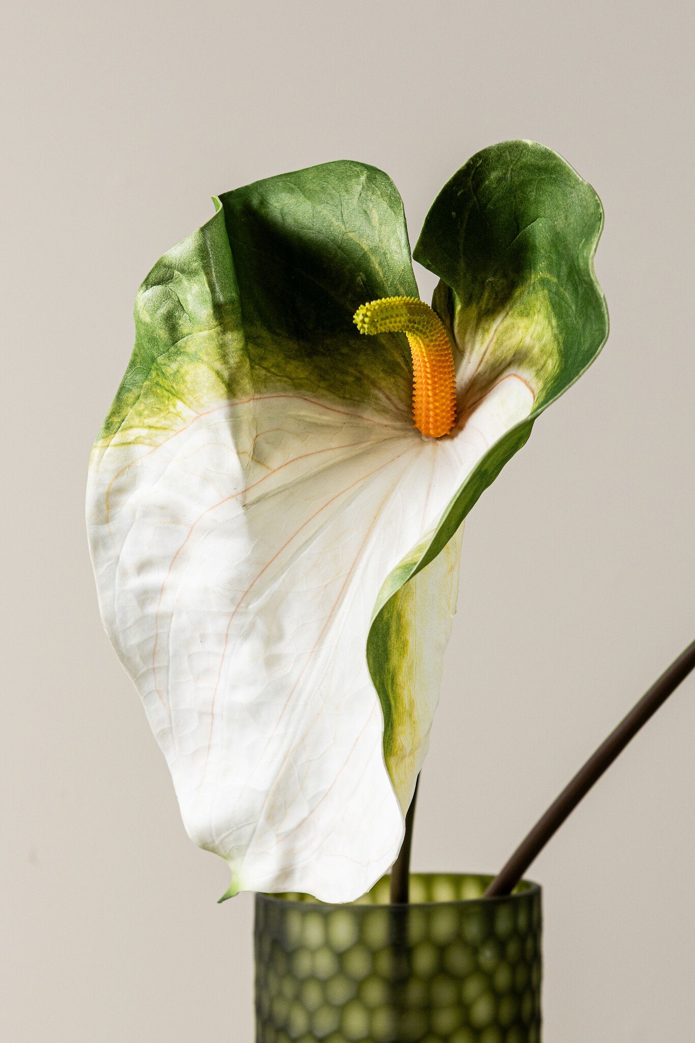 Garden Flower Witte Anthurium Bloem - Set van 12 85x24x33 cm