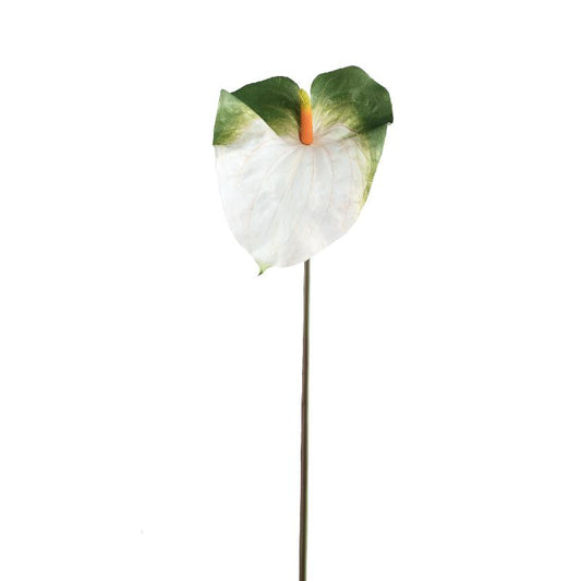Garden Flower Witte Anthurium Bloem - Set van 12 85x24x33 cm