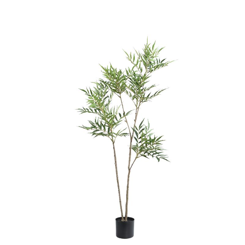 Tree Groen Mahonia Fortunei Boom in Zwarte Pot S 148x80x80 cm