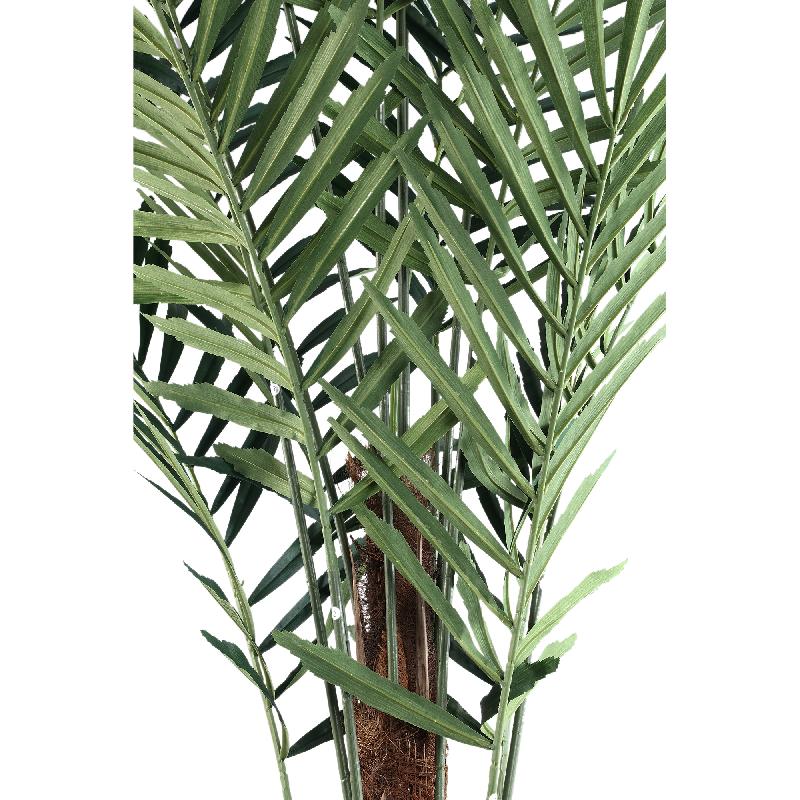 Tree Grote Groene Palmboom In Zwarte Pot 260x160x160 cm