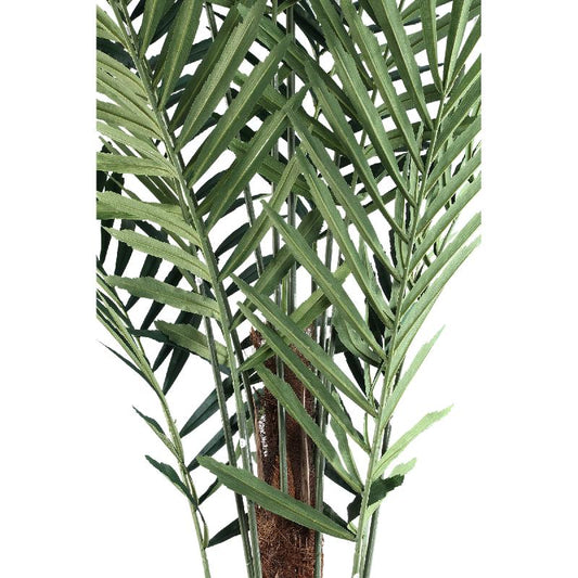 Tree Grote Groene Palmboom In Zwarte Pot 260x160x160 cm