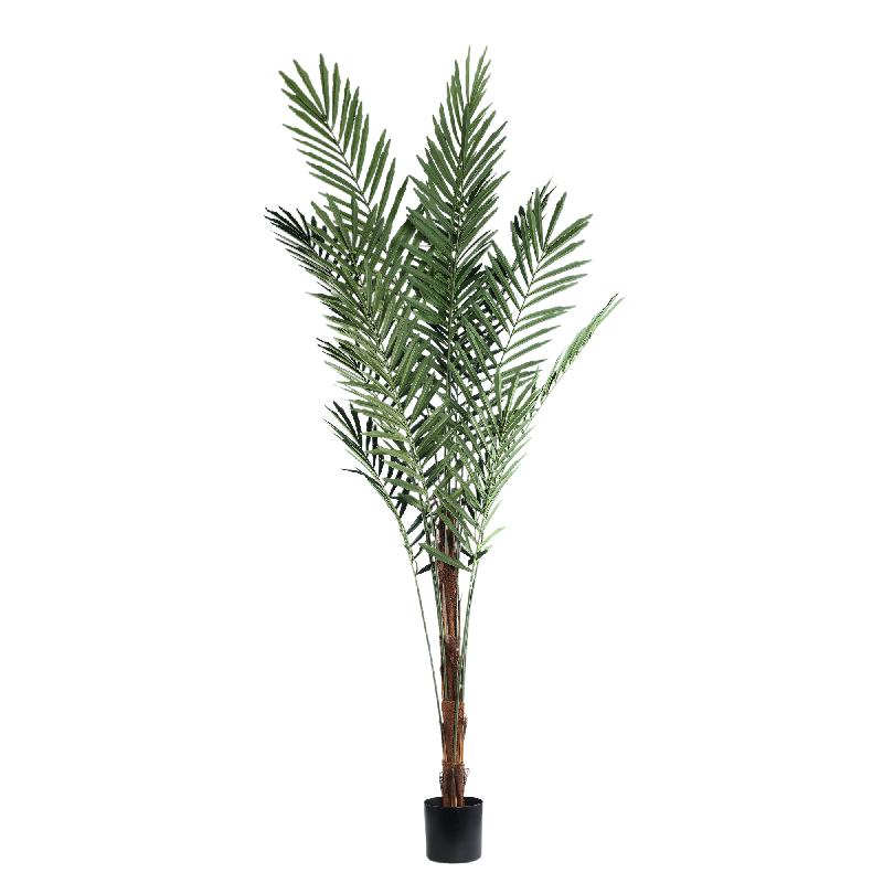 Tree Grote Groene Palmboom In Zwarte Pot 260x160x160 cm