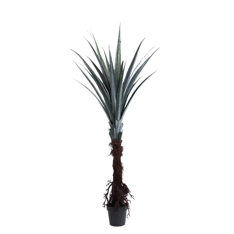 Leaves Plant Donkergroen Pandanus 180x110x110 cm
