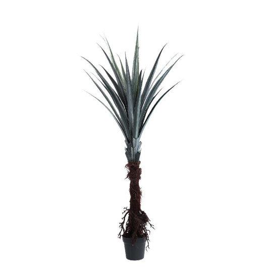 Leaves Plant Donkergroen Pandanus 180x110x110 cm