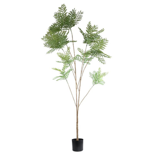 Fern Plant Groen Hoge Varen In Pot L 238x125x115 cm