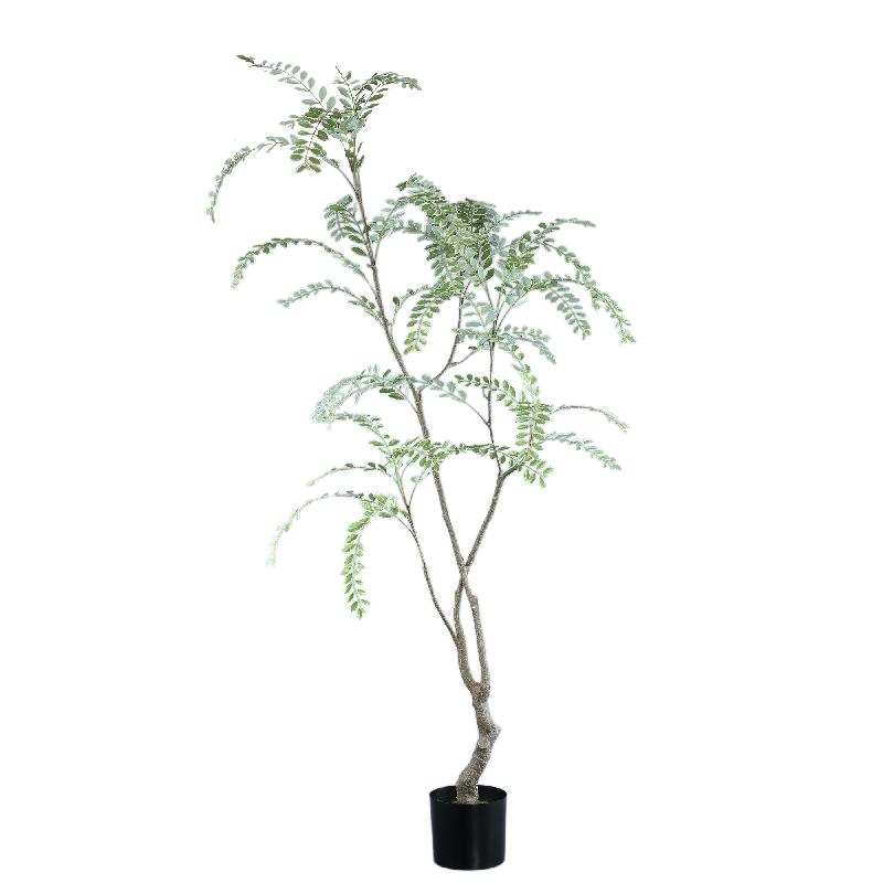 Tree Groen Hoge Japanse Enkianthus Boom In Pot 180x159x115 cm