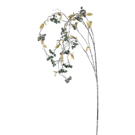 Berry Plant Rozebottel Bes Groen – Set van 12 stuks 145x98x50 cm