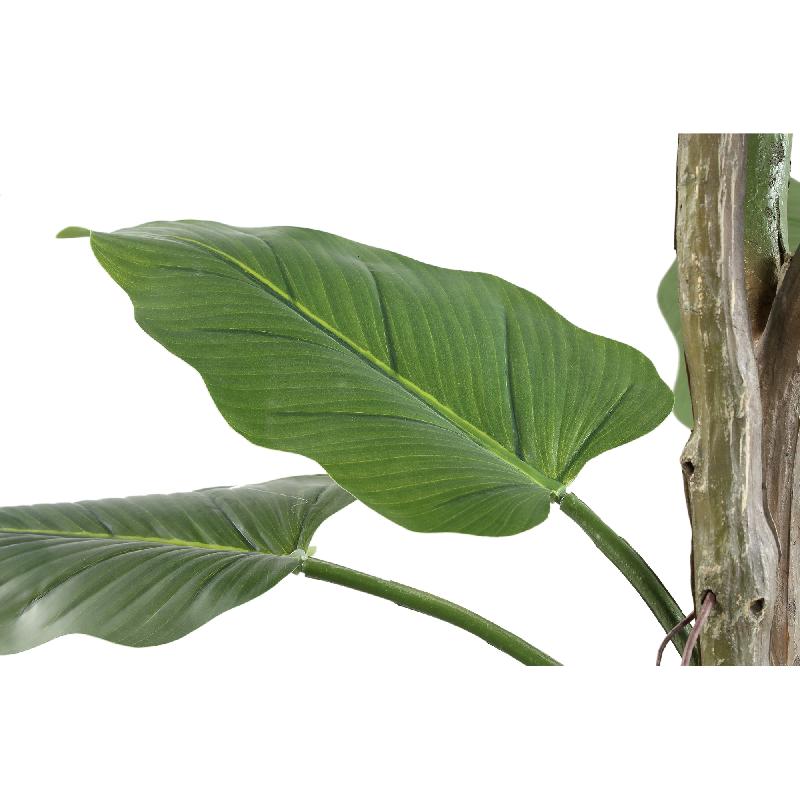 Leaves Plant Grote Groene Philodendron In Zwarte Pot L 195x50x50 cm