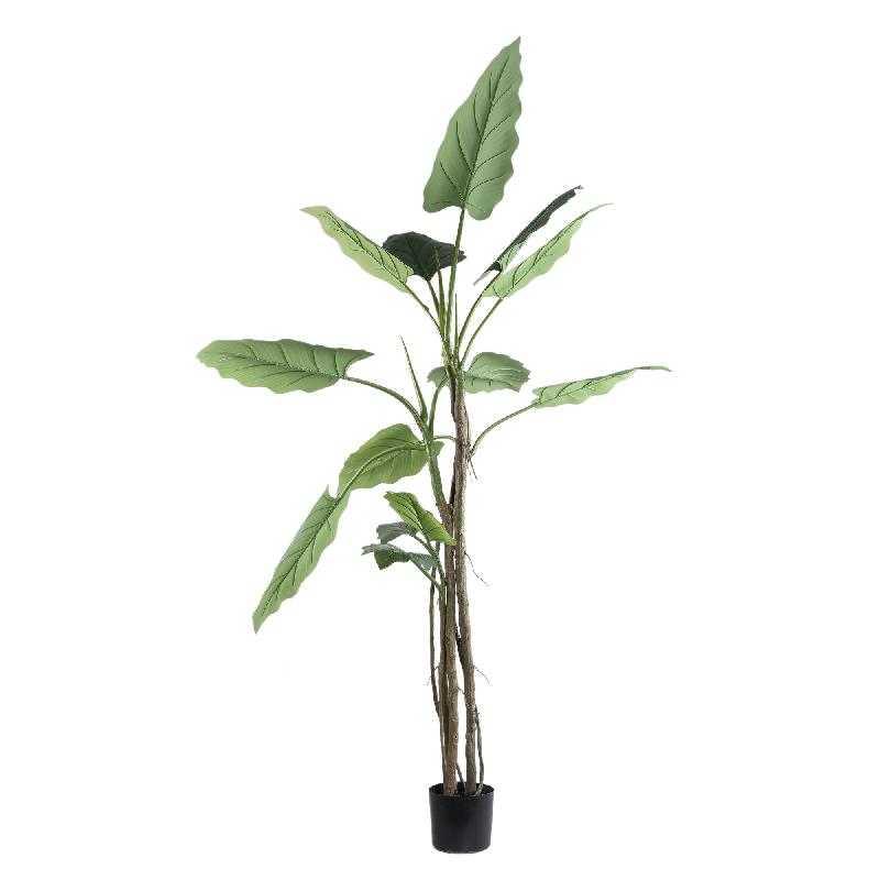 Leaves Plant Grote Groene Philodendron In Zwarte Pot L 195x50x50 cm