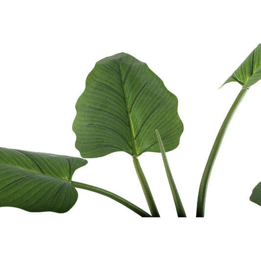Leaves Plant Groene Philodendron In Zwarte Pot S 130x45x45 cm