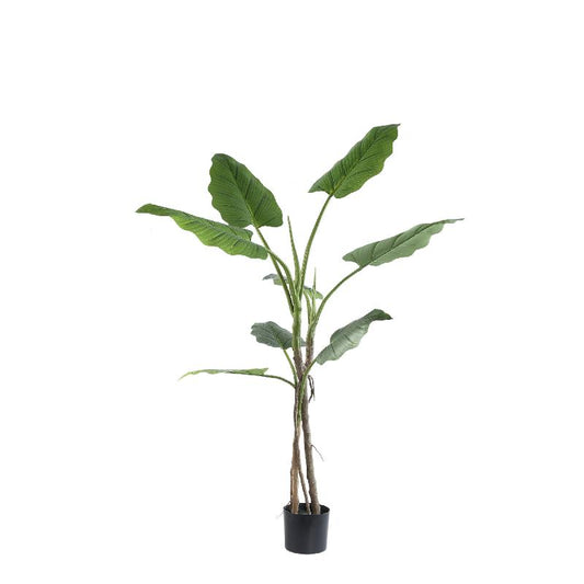 Leaves Plant Groene Philodendron In Zwarte Pot S 130x45x45 cm