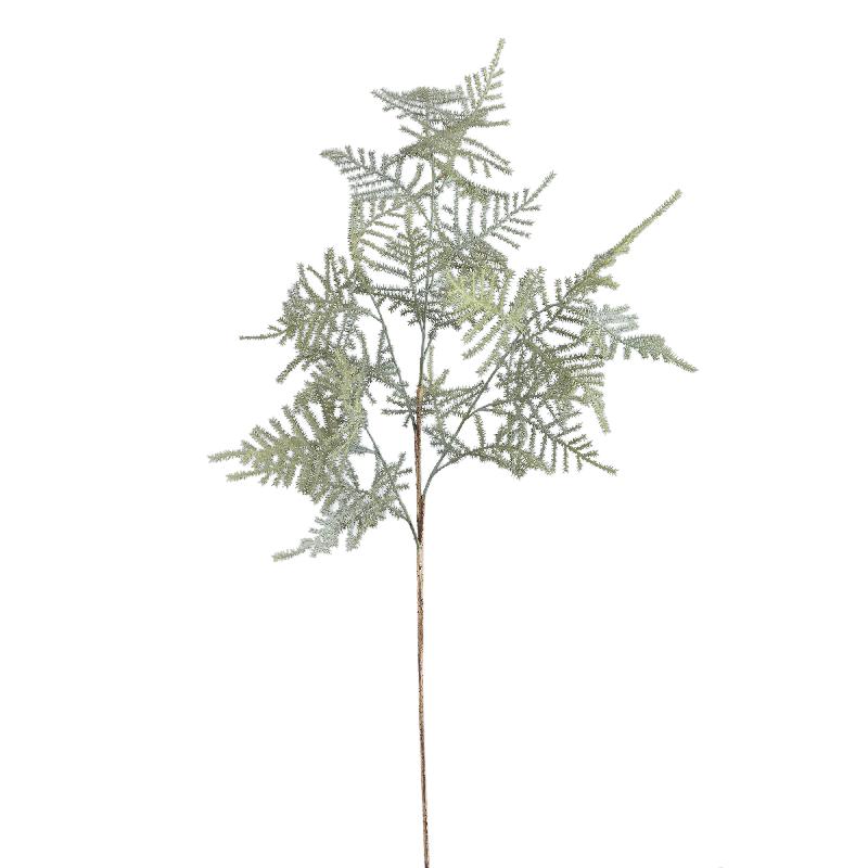 Fern Plant Donkergroen Asperge Fern Spray - Set van 12 75x45x30 cm