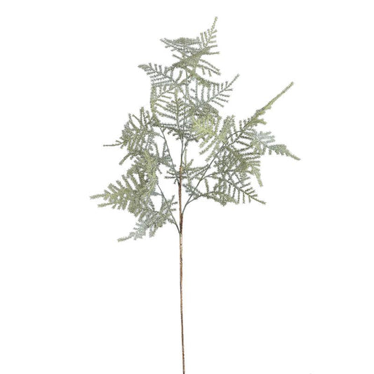 Fern Plant Donkergroen Asperge Fern Spray - Set van 12 75x45x30 cm