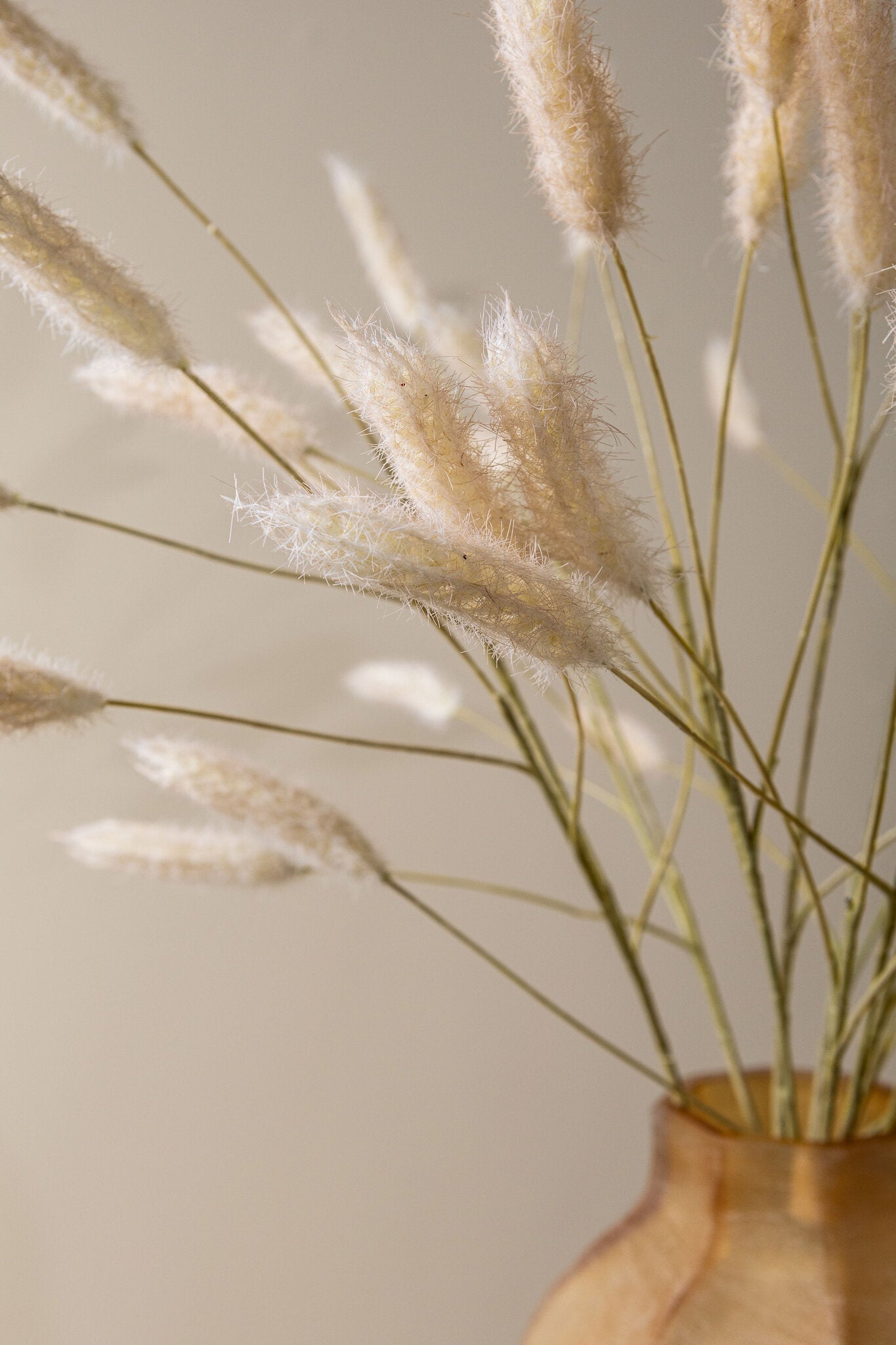 Grass Plant Creme Pampasgras Spray - Set van 12 83x43x30 cm