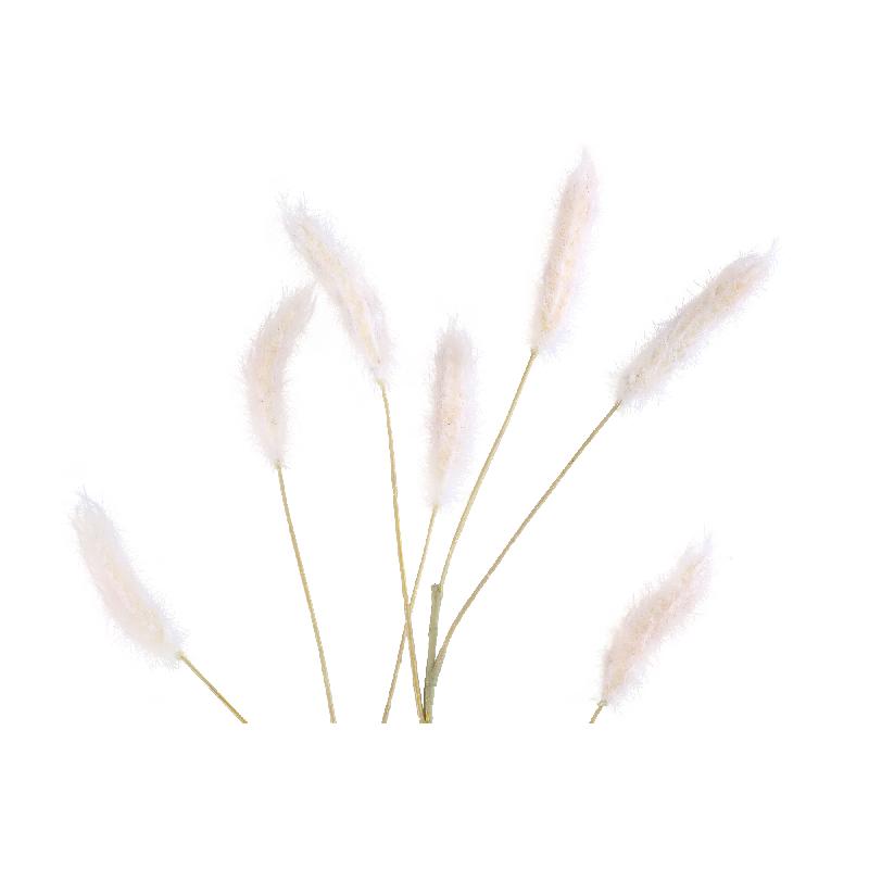 Grass Plant Creme Pampasgras Spray - Set van 12 83x43x30 cm