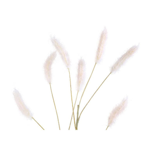 Grass Plant Creme Pampasgras Spray - Set van 12 83x43x30 cm