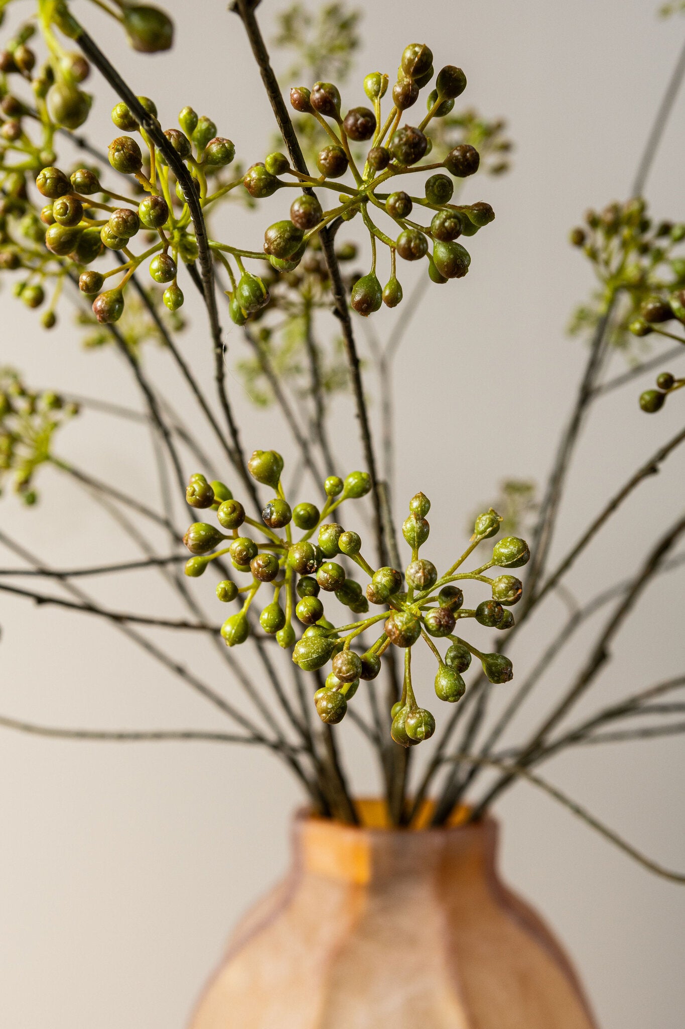 Berry Plant Donkergroen Viburnum Bessentak - Set van 12 113x63x36 cm