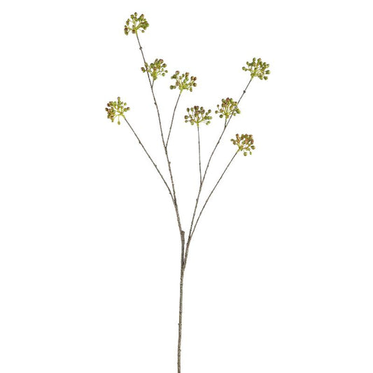 Berry Plant Donkergroen Viburnum Bessentak - Set van 12 113x63x36 cm
